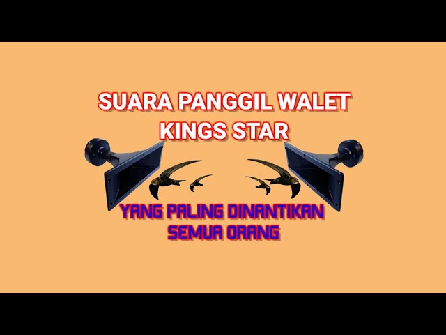 suara panggil walet kings star yang paling di cari semua orang respon nya mantap & jerni class=