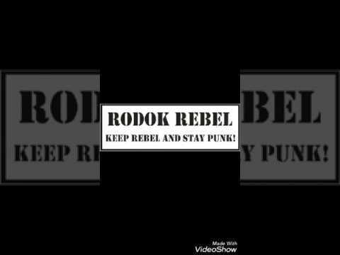 Video We Are Punk We Are Family