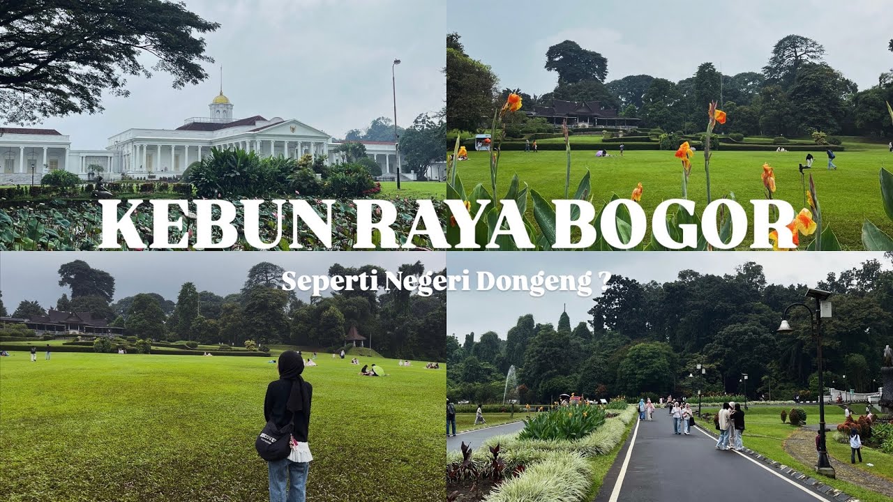 KEBUN RAYA BOGOR: BERASA MASUK KE NEGERI DONGENG? Banyak Pohon Raksasa? Tempat Healing Terbaik !!!