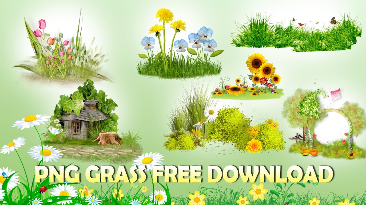Png Grass and flowers free download for studio backgrounds | srinu photoediting
