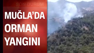 Muğlada Orman Yangını