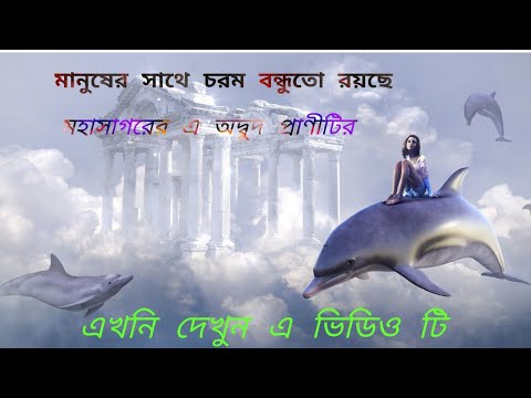 ভিডিও: ডলগিন আলেকজান্ডার বোরিসোভিচ: জীবনী, কেরিয়ার, ব্যক্তিগত জীবন