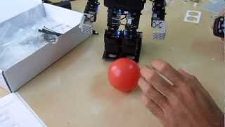 RQ-HUNO Improved Performance after Fine Tuning the Zero position by RoboSavvy