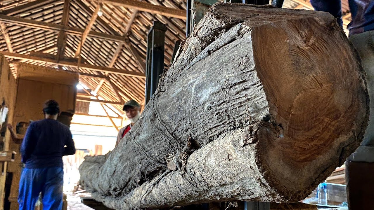 DIY sawmill process for cutting logs teak on a sawmill horde