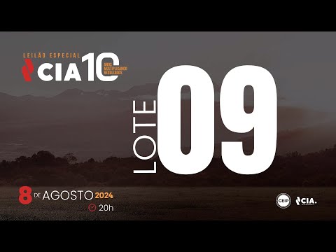 LOTE 09 - LEILÃO ESPECIAL CIA 10 ANOS