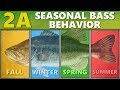 Intermediate guide to bass fishing 2a  seasonal bass behavior