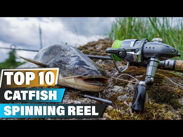Best Catfish Spinning Reels In 2023 - Top 10 Catfish Spinning Reel