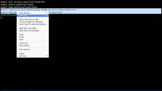 RMU-RVM-and-BDSM-QnA-Session.mov
