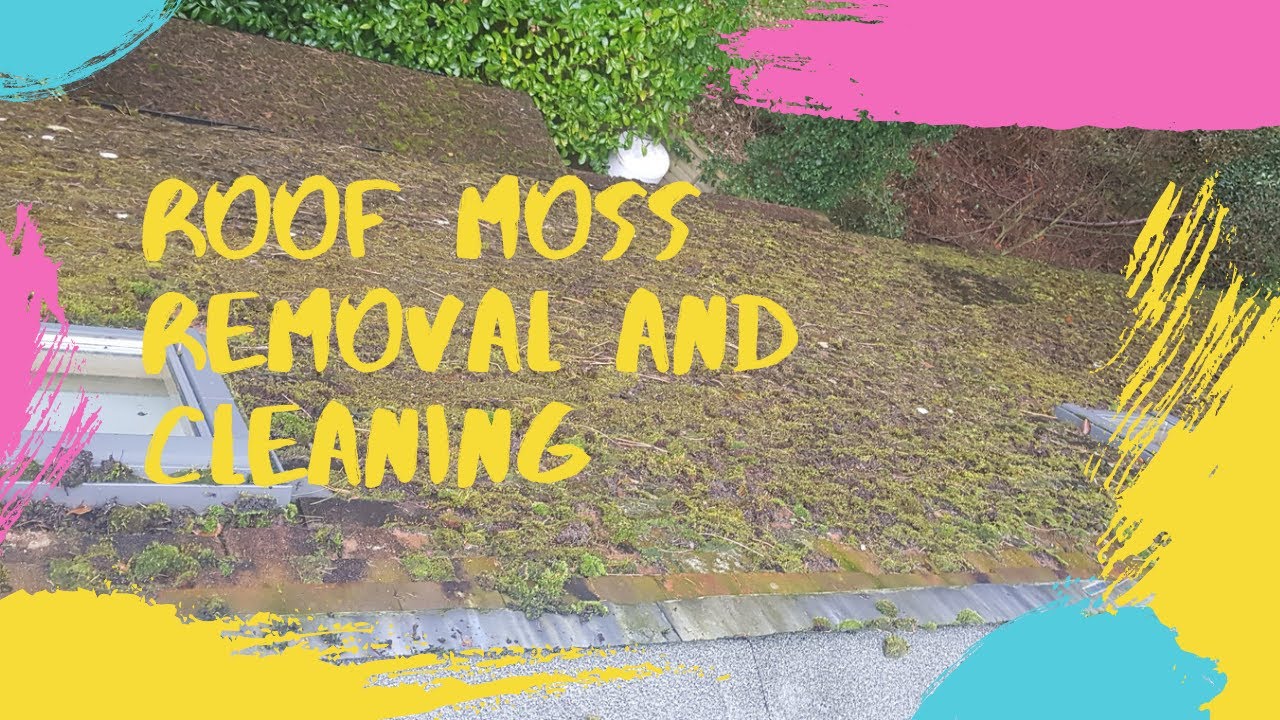 Roof clean steam cleaning roof moss removal