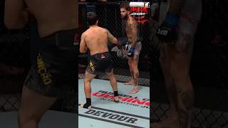 Master the Feint + Hook 💥 | Boxing Combo Tutorial 🥊 #boxing #ytshorts #shorts #mmafighter