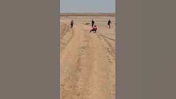 صيد ارنب بري خطيرر 
