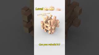 A complex IQ Brain Teaser Puzzle