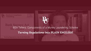 BSA Tellers: Components of a Money Laundering Scheme
