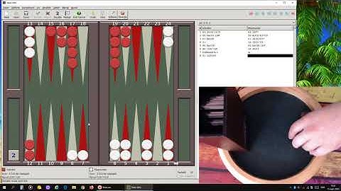 PlayHunter (M3) vs GNU BG match to 25 points with REAL DICE !