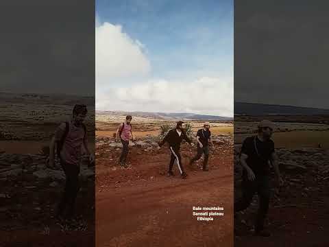 Bale mountains national park — beautiful Sanetti plateau, the highest plateau in Africa