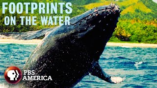 Footprints On The Water Full Special Pbs America