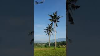 #shorts #shortsvideo #short pemandangan alam paling indah #shorts #shortsvideo #short pemandangan alam paling indah