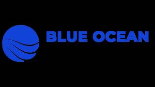 NeuroSense by Akhilesh Parthipan and Siddharth Pala for Blue Ocean Competition