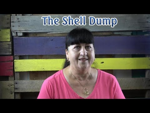 The Shell Dump