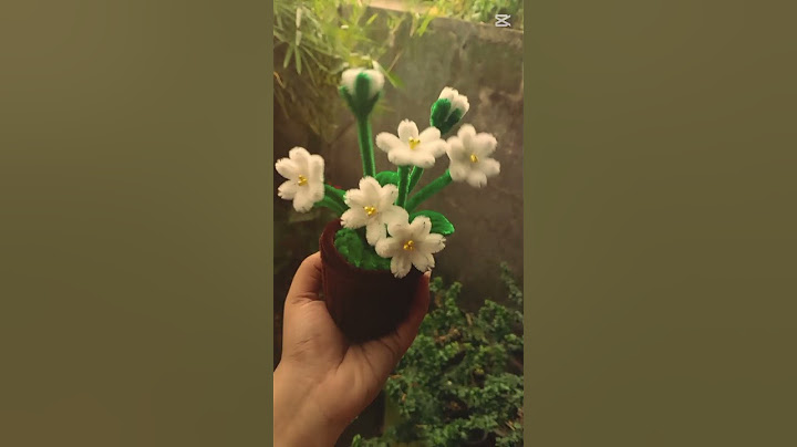 රු.500ට අඩුවෙන් ගිෆ්ට් හොයන අයට ❤️✨️ 0713470552 #pipecleanercrafts #pipecleanerflowers