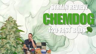 Chemdawg 420 Fast Buds Autoflower German Strain Review