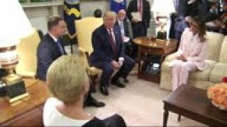 Celebrity Trump slams 'fake polls' suggesting he's trailing Net Worth