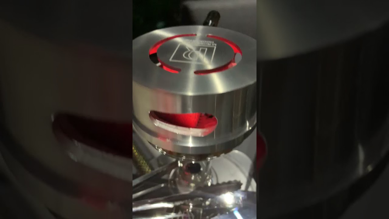 M. ROSENFELD: ✨✨✨ GOLDENE SAMMLUNG