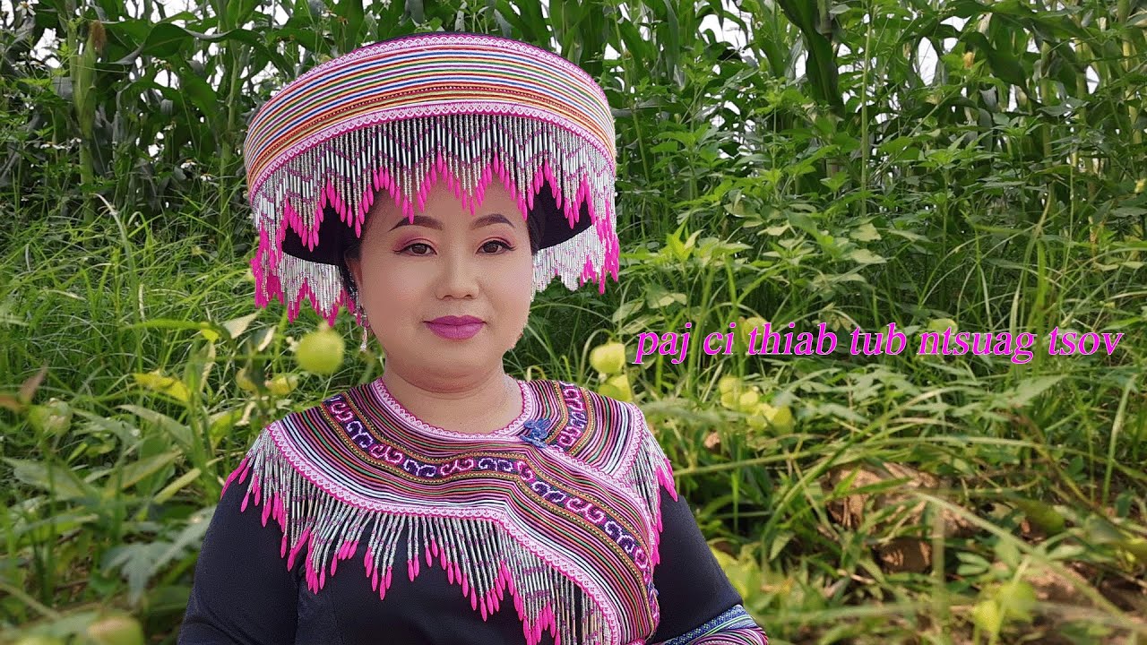 paj ci thiab tub ntsuag tsov