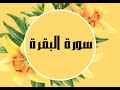 سورة البقرة صلاح البدير بدون اعلانات
