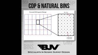 Seismic Survey Design - Common Depth Points Natural Bins In 2D and 3D Seismic