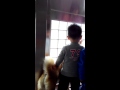 好乖的柴犬