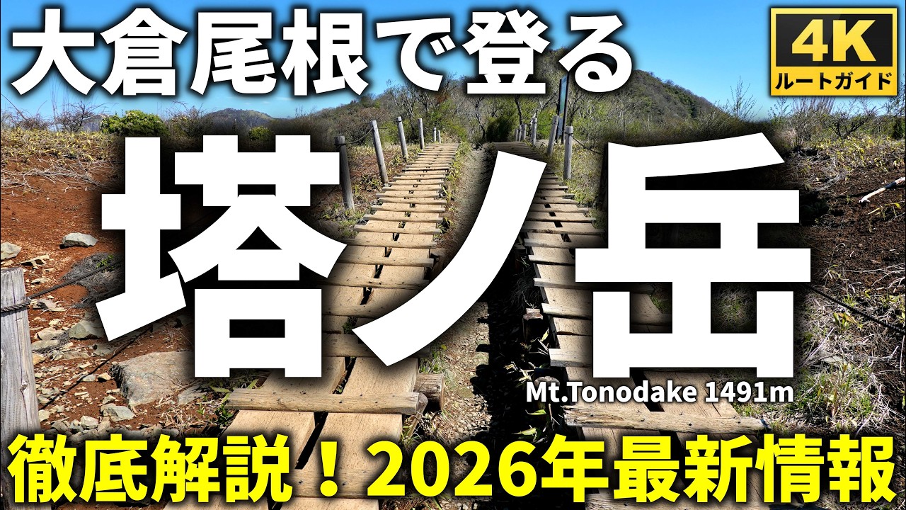 【徹底解説】大倉尾根で登る塔ノ岳(2026年最新版)　大倉～塔ノ岳往復登山コース紹介　山火事後の情報あり　Course Guide of Mt.Tonodake Okura trail.