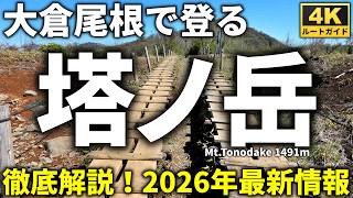 【徹底解説】大倉尾根で登る塔ノ岳(2026年最新版)　大倉～塔ノ岳往復登山コース紹介　山火事後の情報あり　Course Guide of Mt.Tonodake Okura trail.