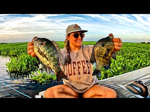 The GIANT Sunfish Were STACKED Up in This One Little Spot!
