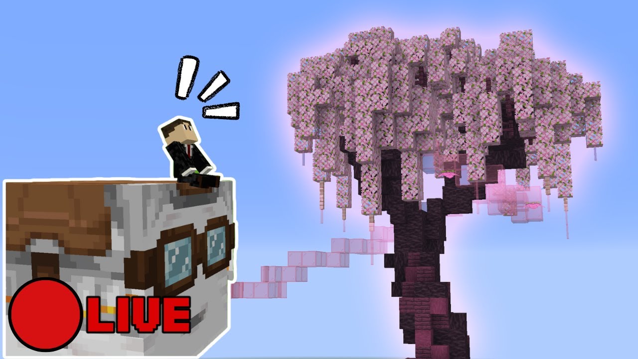 🔴LIVE: Custom Cherry Tree! - Bellocraft