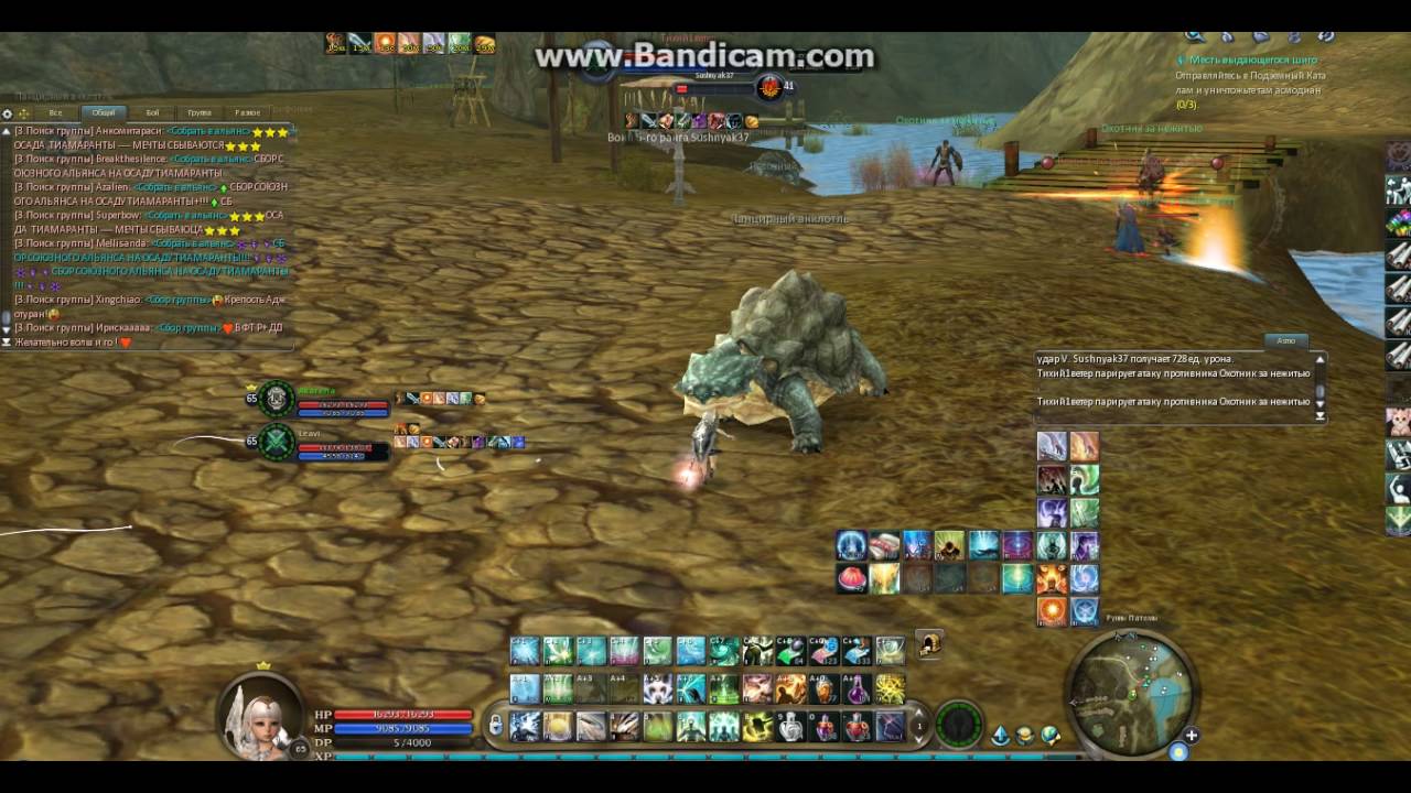 Leavi aion-legend, PvP Vol 1