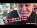 Парад позора и страха. Памперсы цвета хаки.