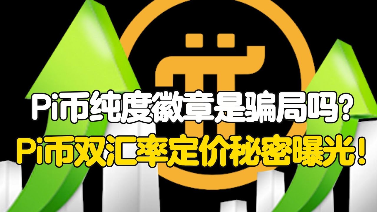 Pi Network：Pi币纯度徽章是骗局吗？Pi币双汇率定价秘密曝光！ - YouTube