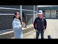 【トレセンまるごと情報局】厩務員に転身した国枝栄元調教師に密着
