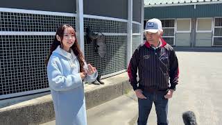 【トレセンまるごと情報局】厩務員に転身した国枝栄元調教師に密着