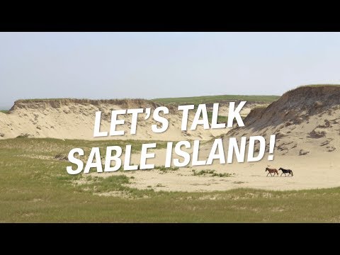 Video: Wat is spesiaal aan Sable Island?