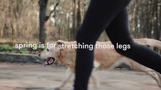 Spring Into Mobility | Exercise and Wellness | Banfield Pet Hospital