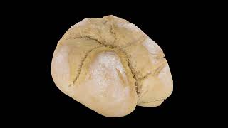 Photoscanned Bread | Scan + Retopology + Texture Baking