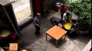 20140530 每日农经  端午特供（3）浙江丽水：大山里的柴灰粽