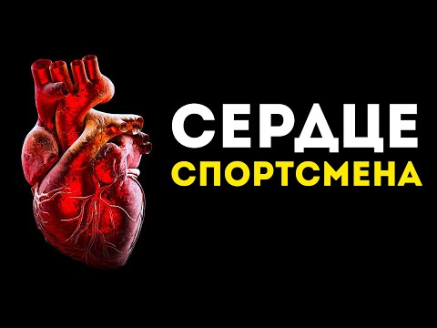 Вот чем отличается сердце спортсмена от обычного человека. (Неожиданно)