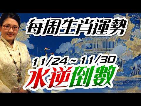 2025生肖運勢週報｜11/24-11/30｜金玲老師（有字幕）