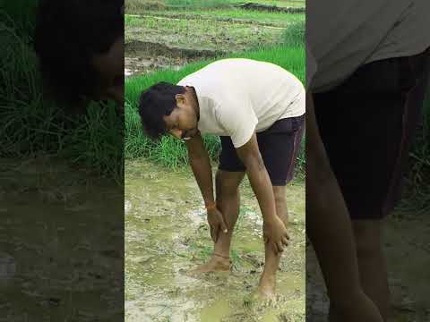 ye to bura ma'am gai