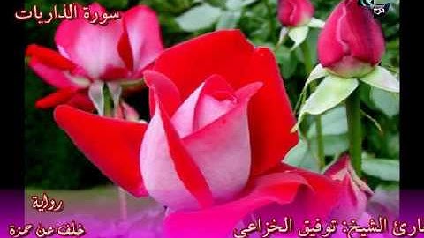 سورة الذاريات برواية خلف عن حمزة للشيخ المقرئ: توفيق الخزاعي حفظه الله تعالى