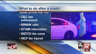 Hit & run crashes continue to rise in Florida
