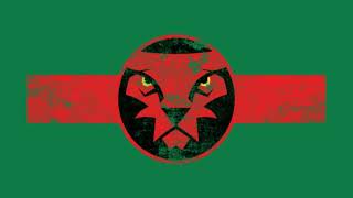 African Bongo Type Beat Animal Raptrap Instrumental 2019